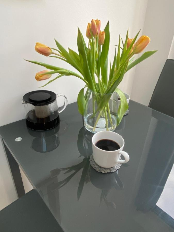 Lovely And Modern Studio Apartment. ボーハムウッド エクステリア 写真